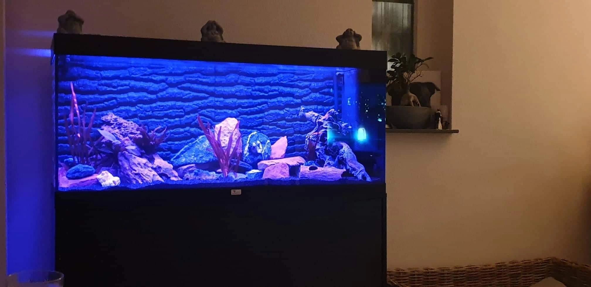 100 t/m 150 cm - RGB aquarium LED strip