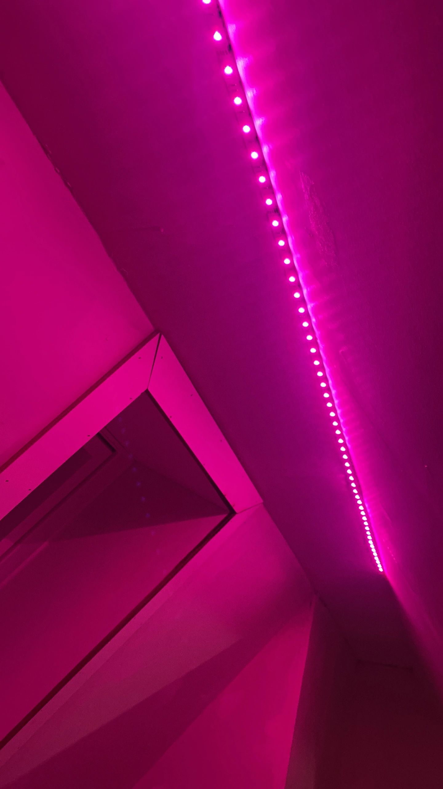 7 meter complete set RGBW led strip met Zigbee controller