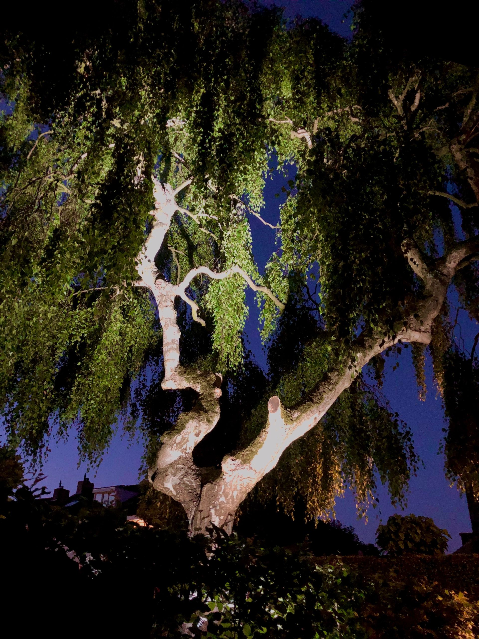 Wifi led tuinspot set RGBWW mét Wifi module 6 watt