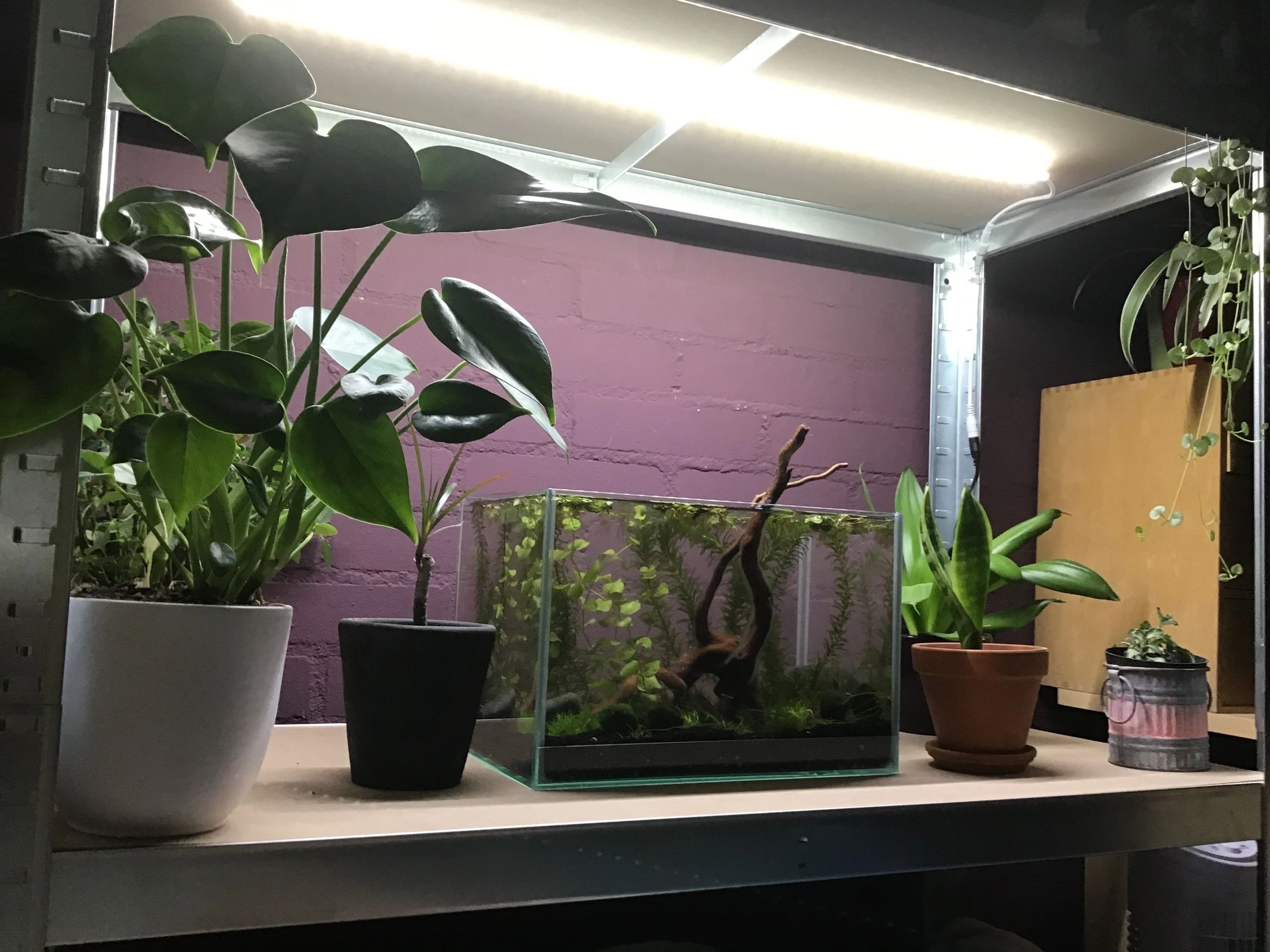 50 t/m 70 cm HELDER WIT complete set aquarium led strip