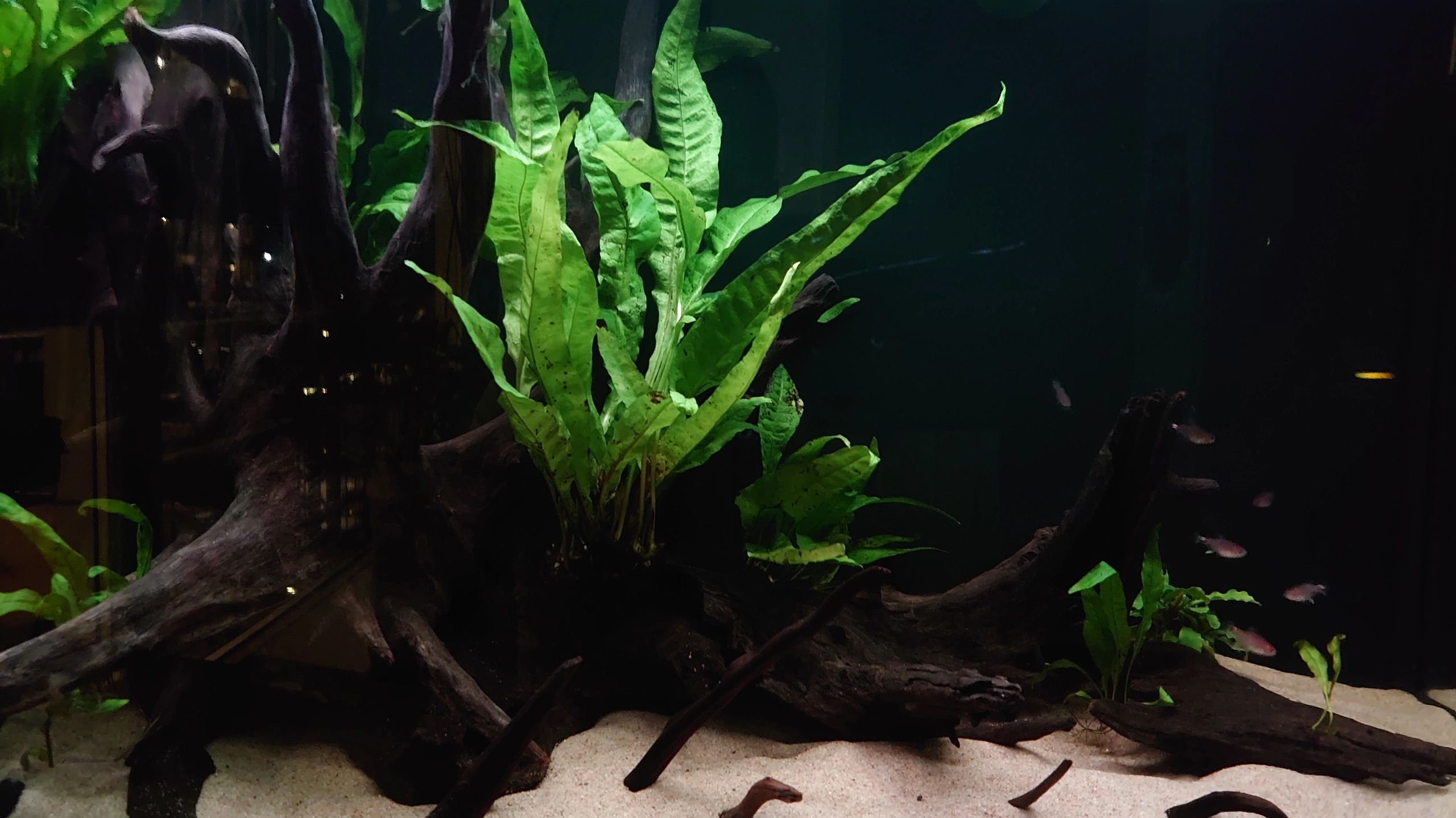 10 t/m 50 cm - RGB complete set aquarium led strip