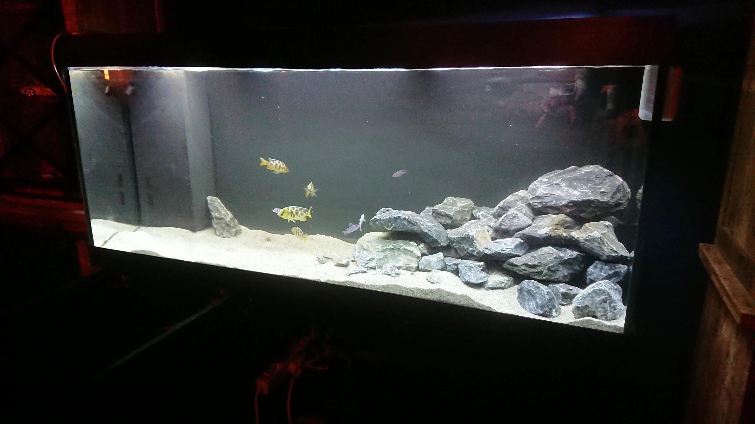 Time Controller set 'Advanced' < 100cm