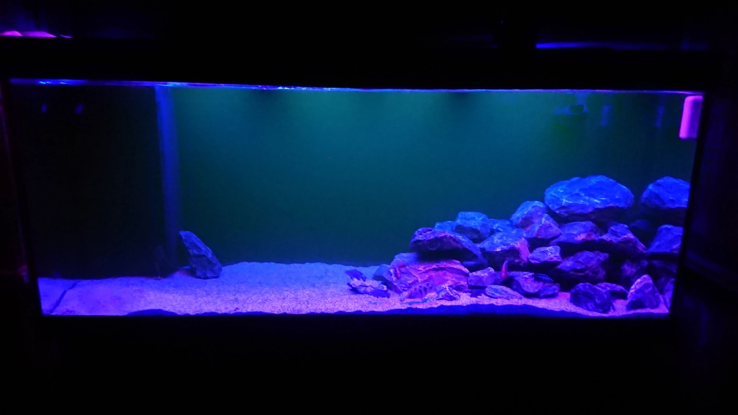 Time Controller set 'Advanced' < 100cm