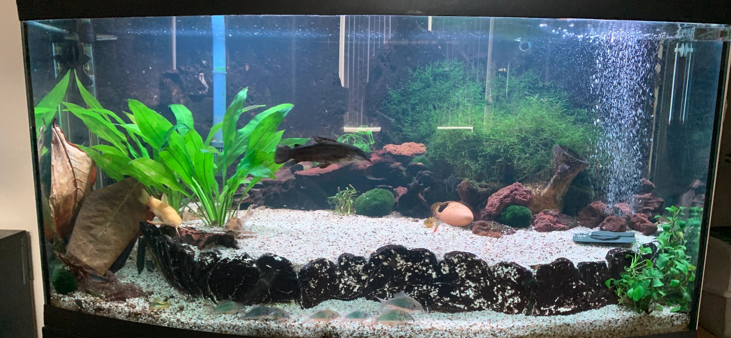 2 x RGB led strip: 100 - 150 cm complete set