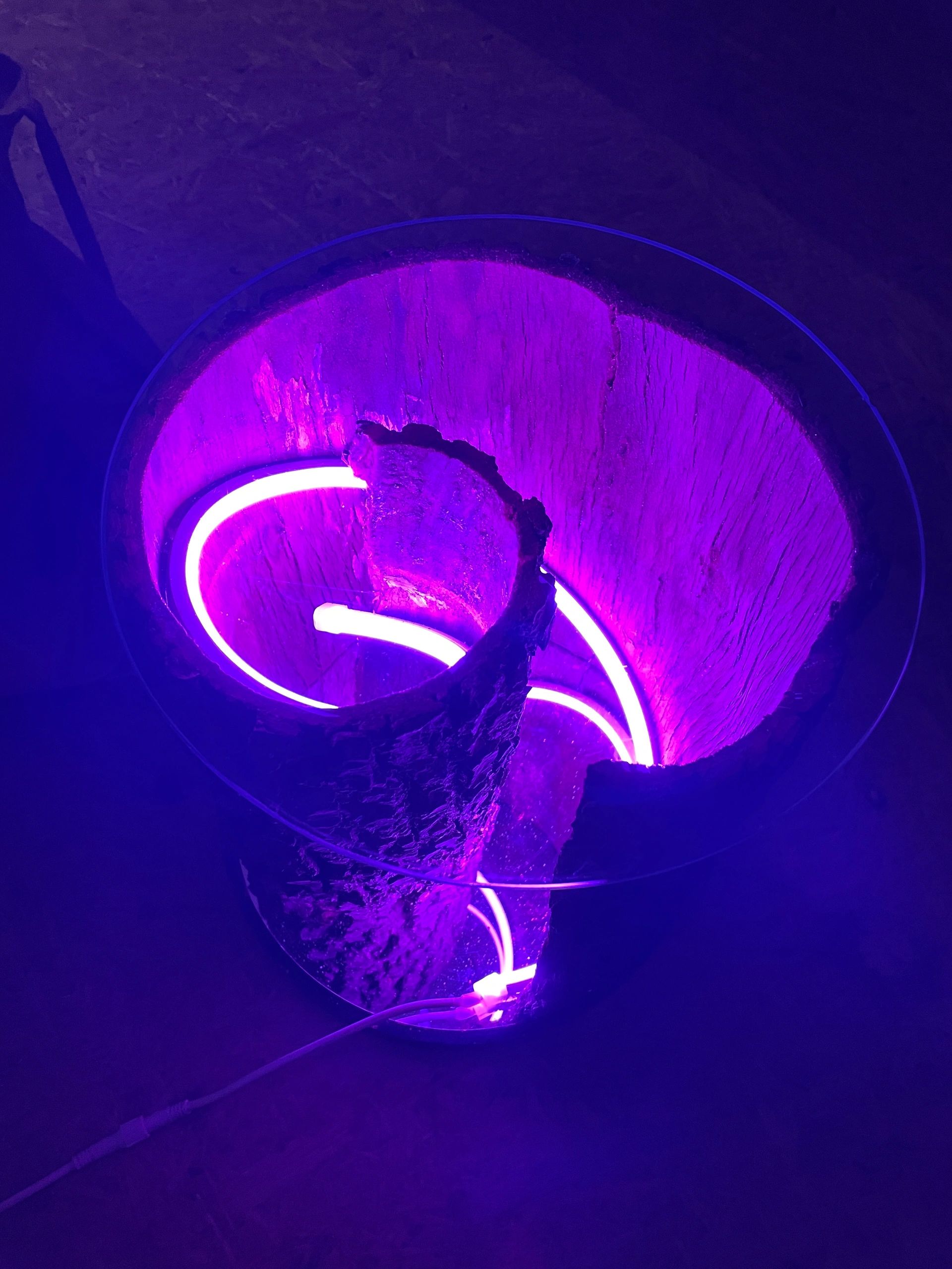 8 meter RGB Neon LED flex Midi Recht - complete set neon verlichting