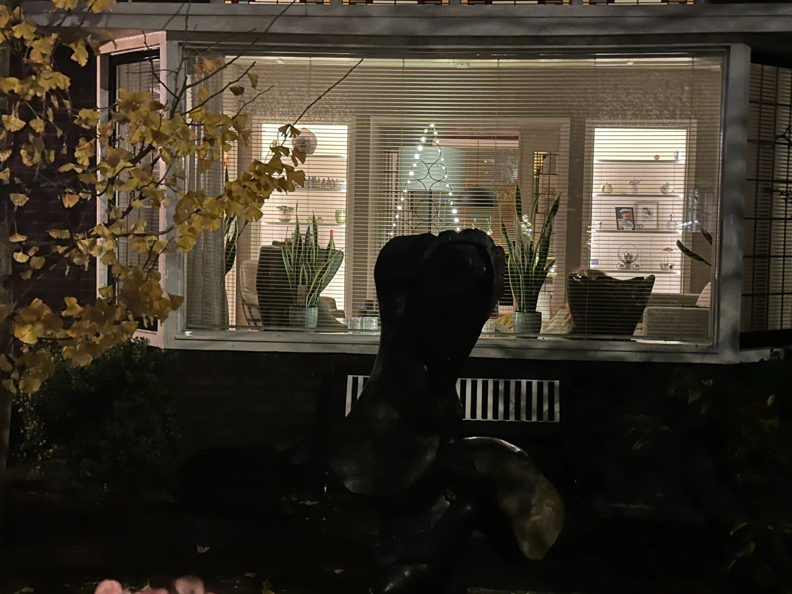 Ledstrip 6 meter warm wit Basic - losse strip met 128 leds per meter