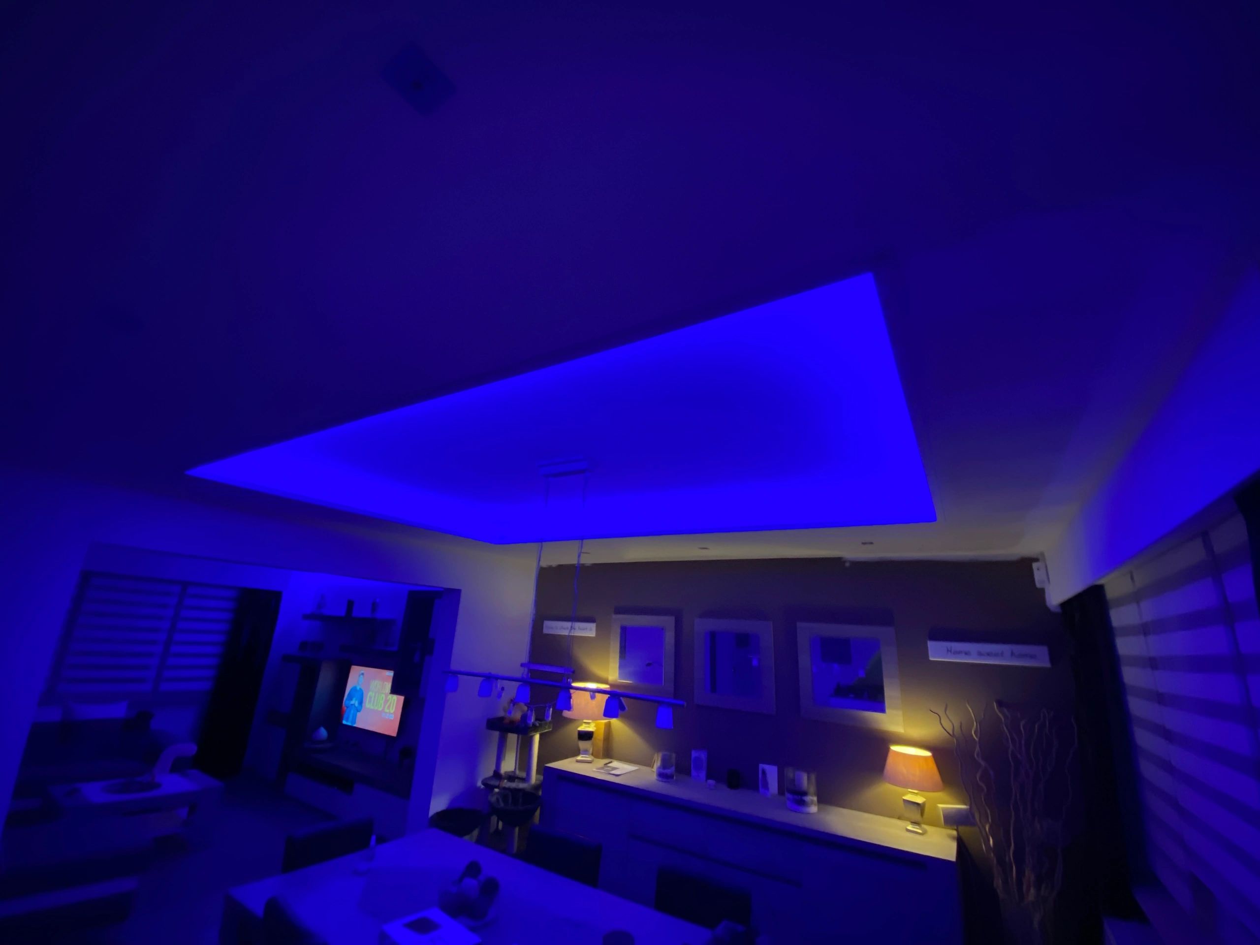 ADAPTER KABEL SPLITTER in 2 delen