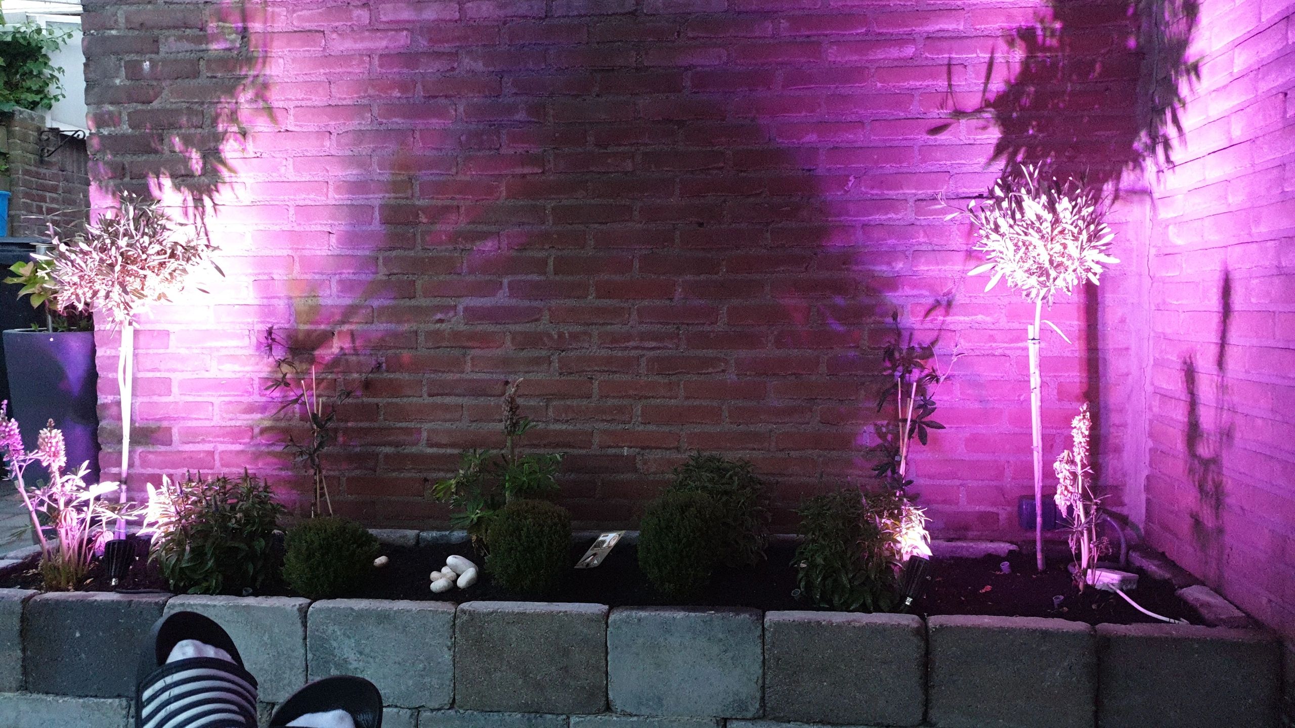 Milight Wifi LED Tuinspot met RGBWW kleuren - 6 watt