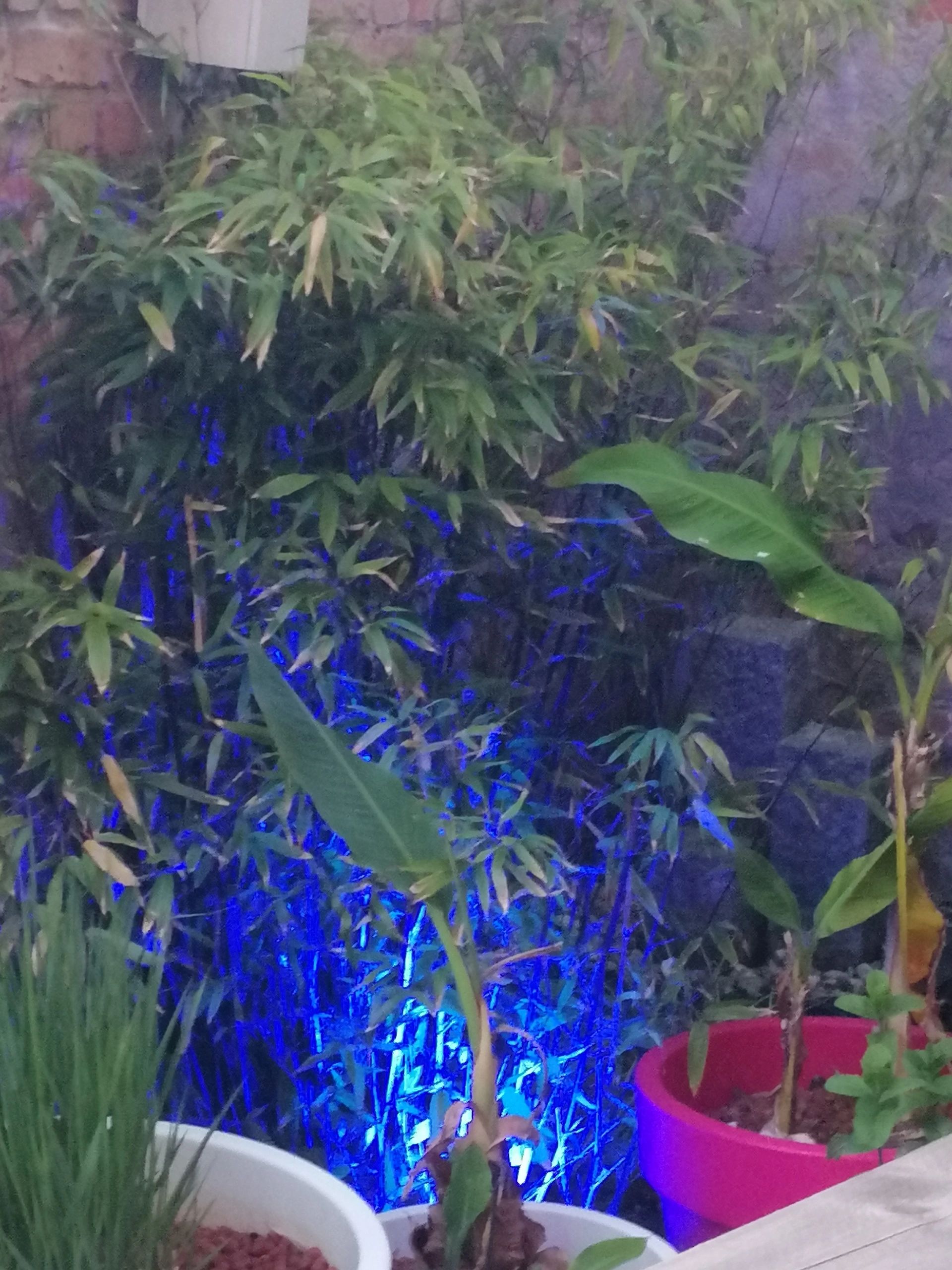 Milight WIFI LED tuinspot/schijnwerper RGBWW - 9 Watt