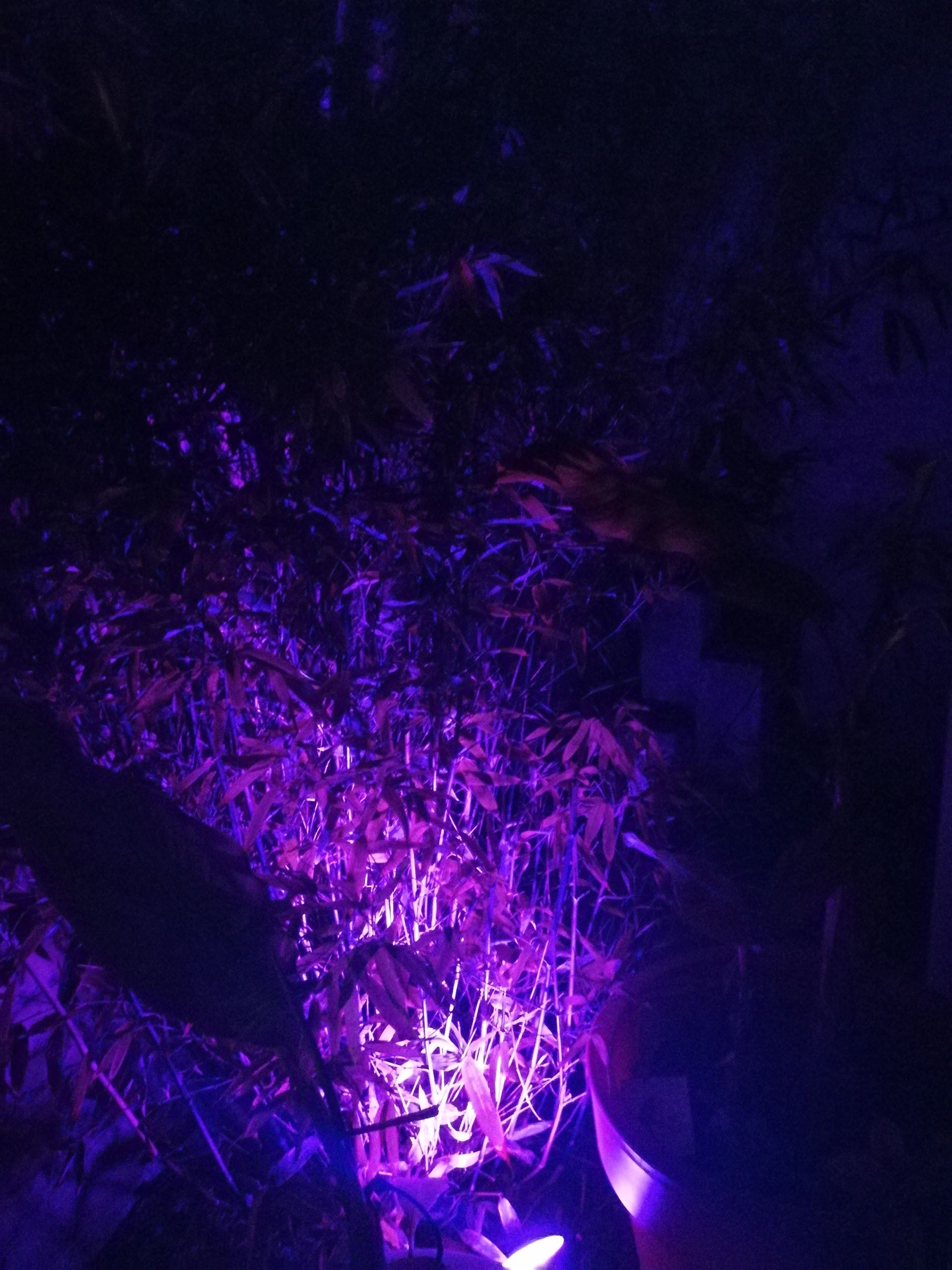 Milight WIFI LED tuinspot/schijnwerper RGBWW - 9 Watt