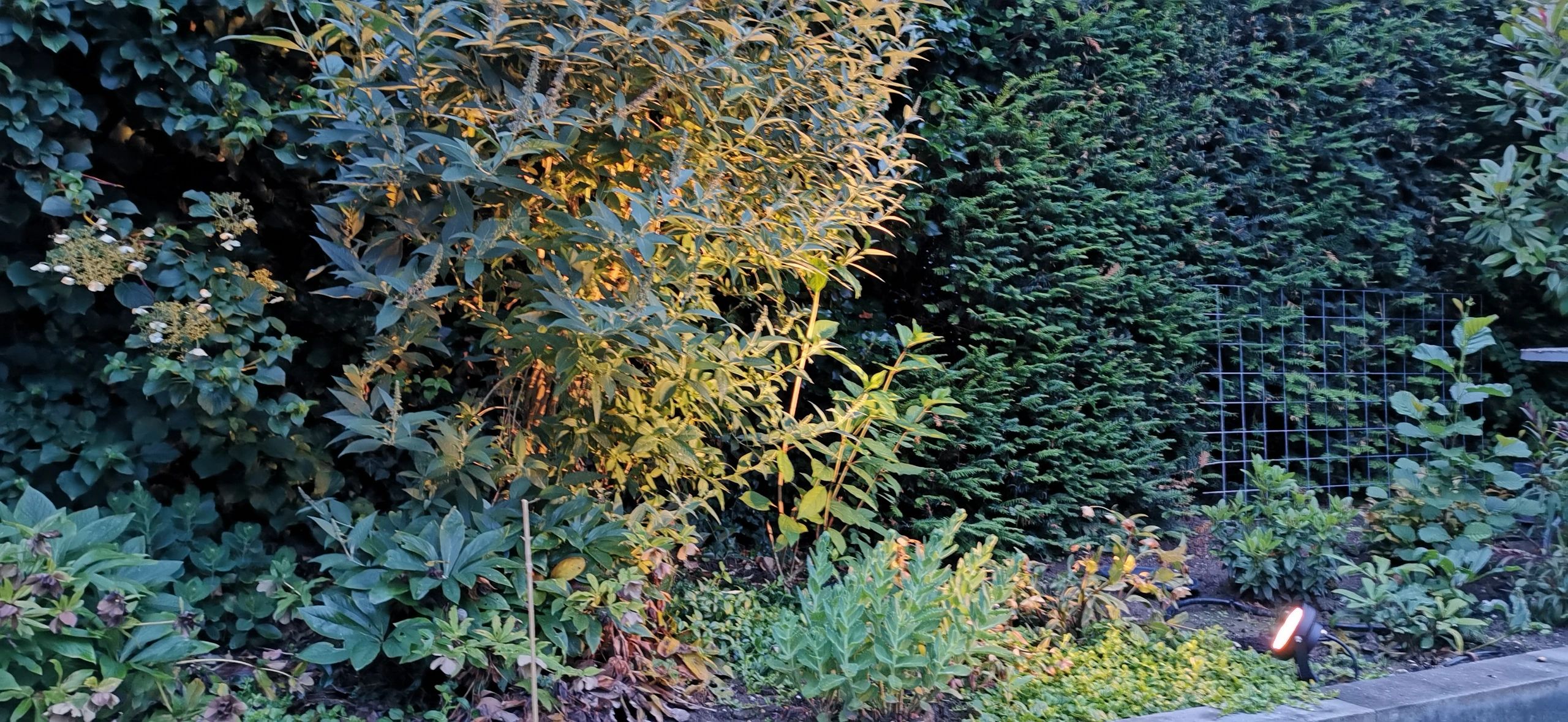 Zigbee LED Tuinspot met RGBWW kleuren 12 watt