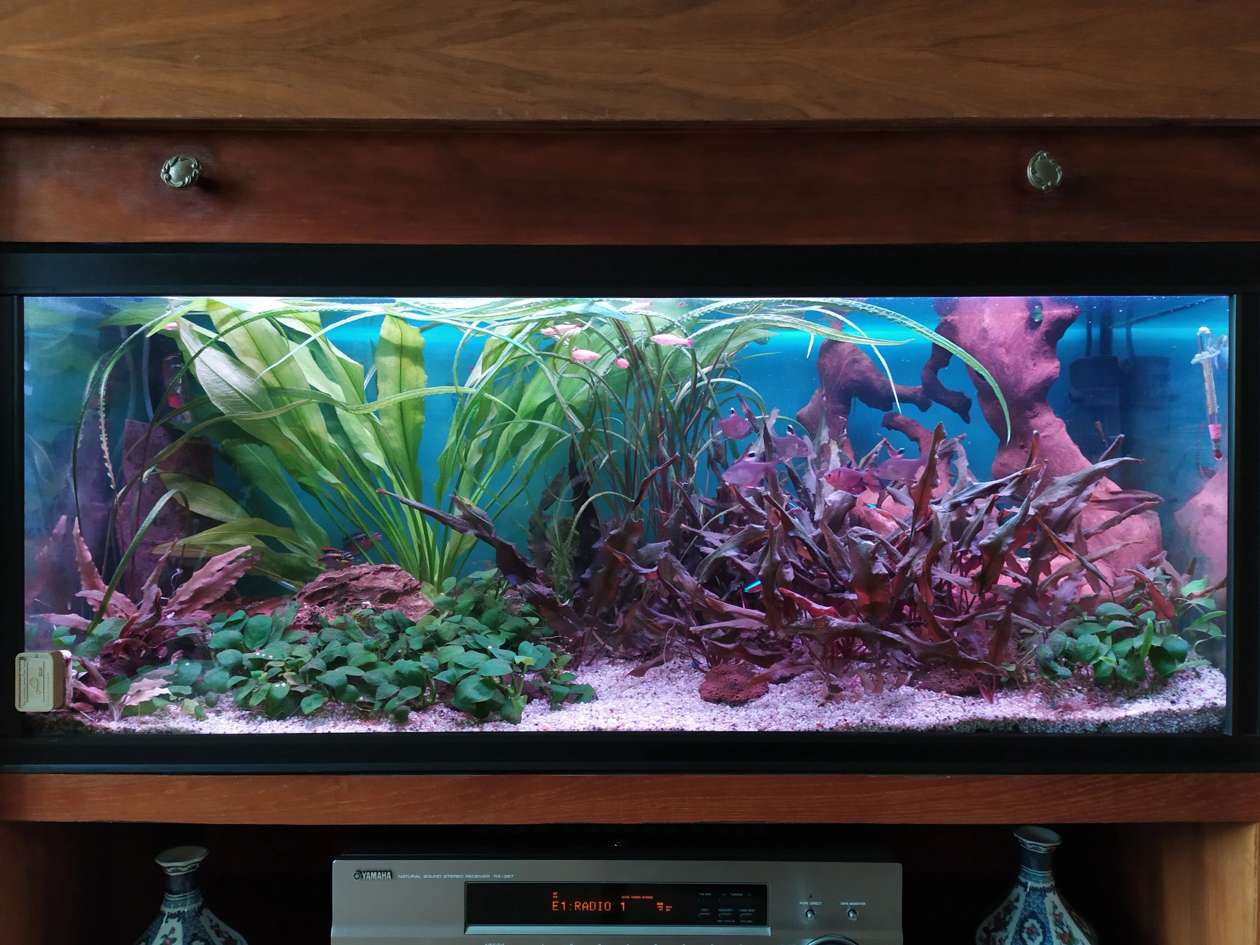 RGB led strip enkele kleur strip - 10 t/m 50 cm complete set