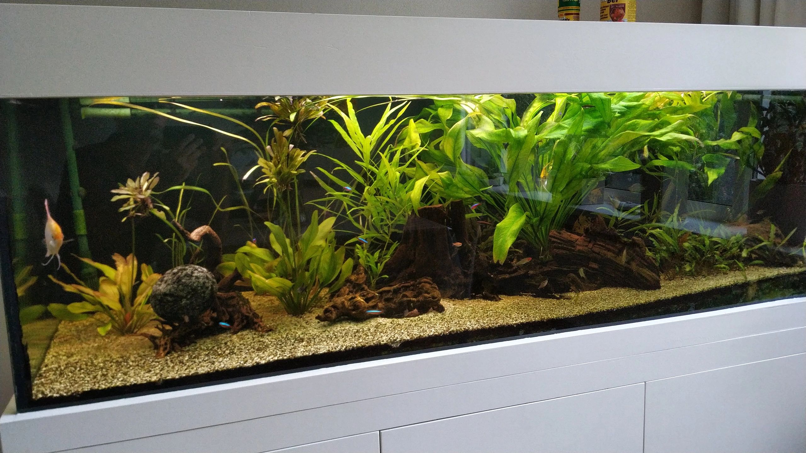 Time Controller set 'Advanced' < 100cm