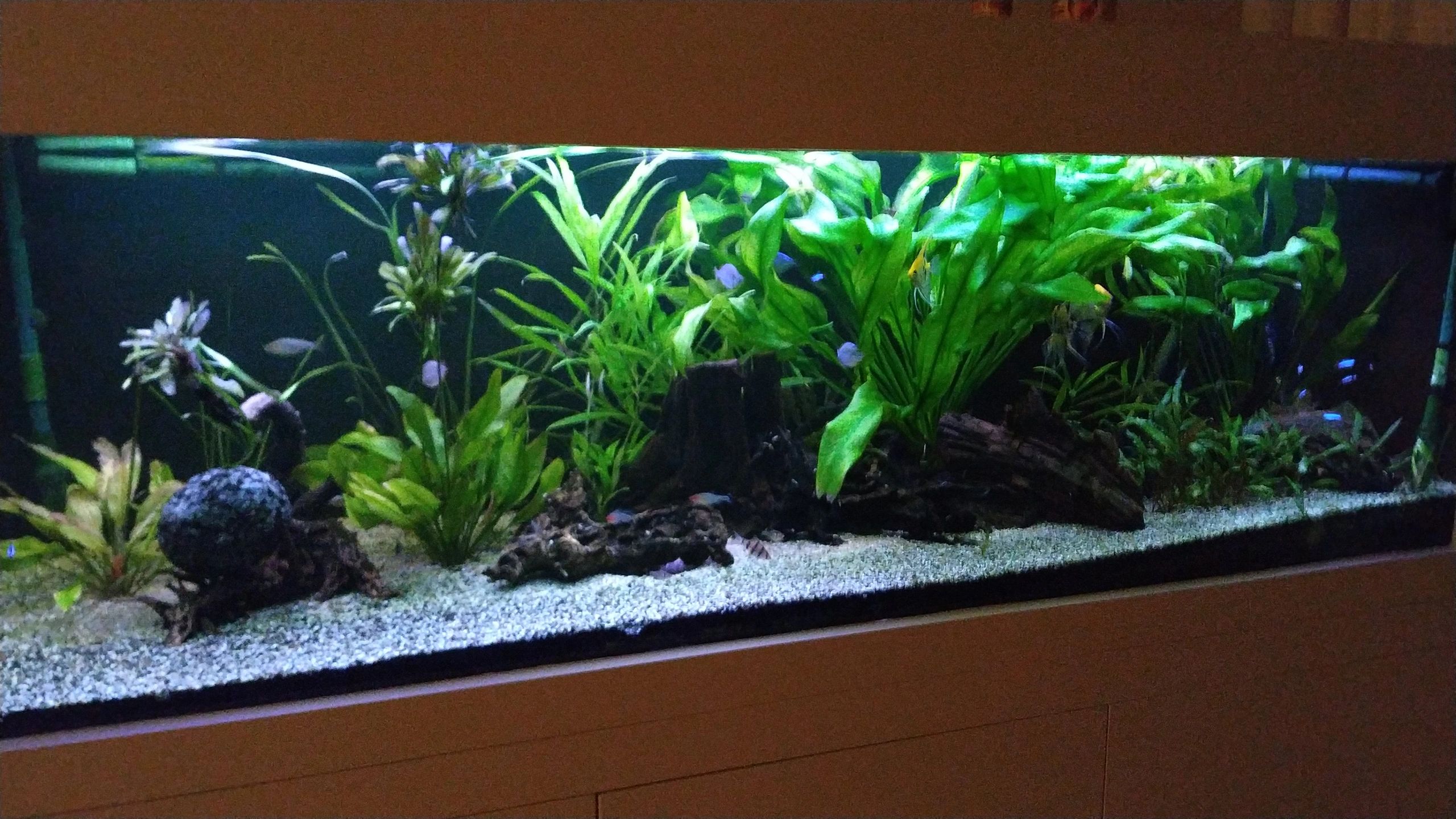 Time Controller set 'Advanced' < 100cm