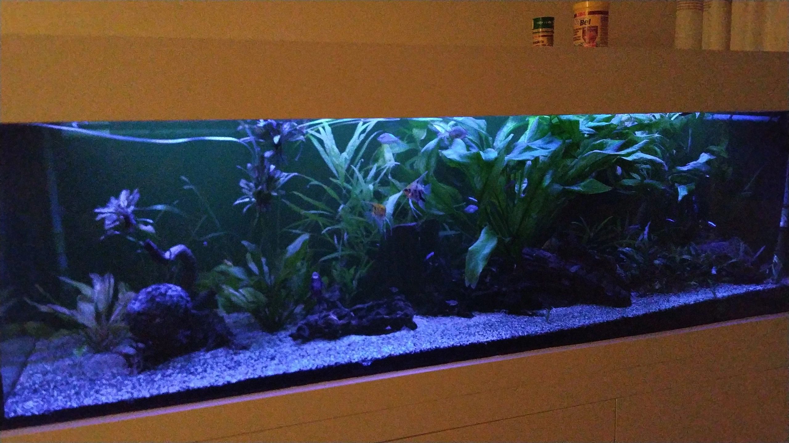 Time Controller set 'Advanced' < 100cm