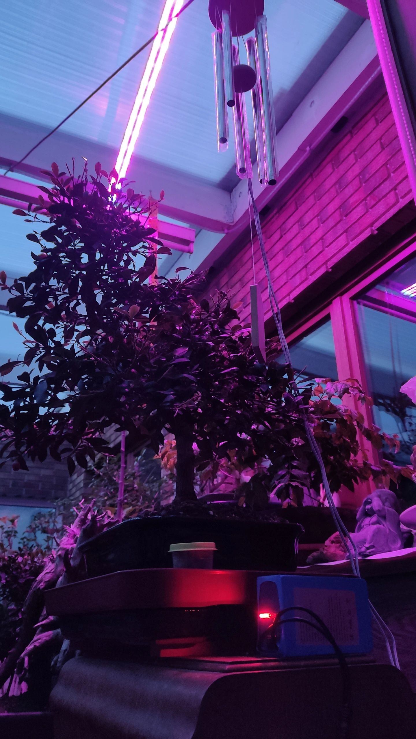 Led strip accu/batterij 12V met oplader