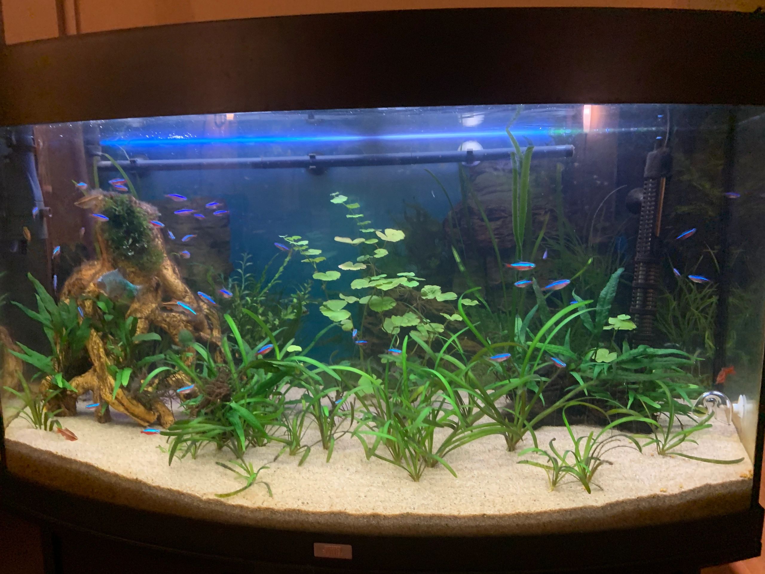 100 t/m 150 cm - RGB aquarium LED strip