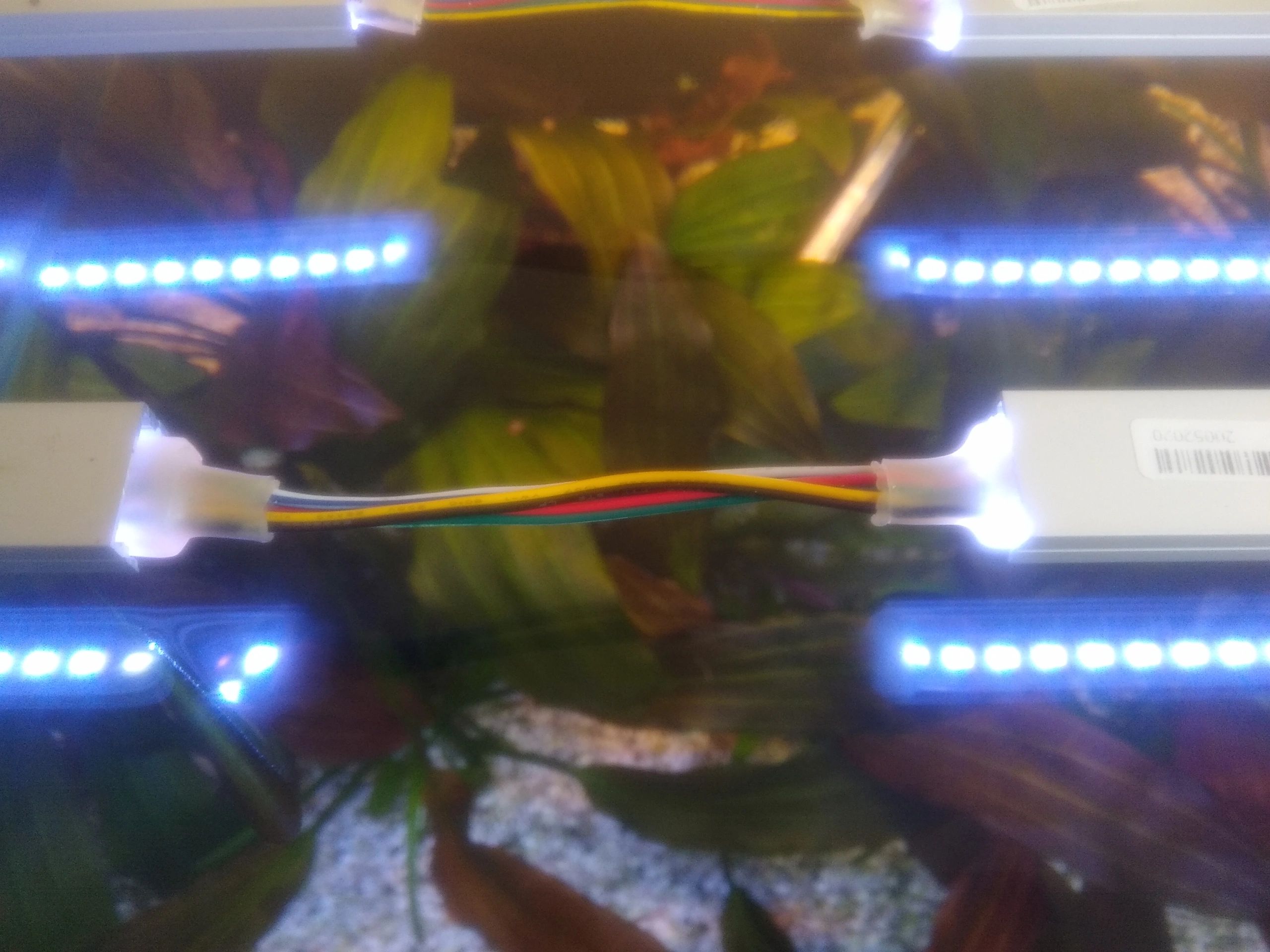 6 meter RGBWW led strip Pro met 576 leds - losse strip