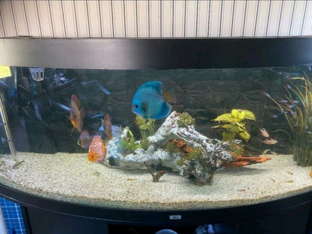 USB-stick voor LED Time Controller