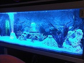 Aquarium led verlichting